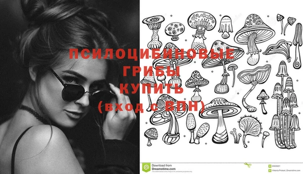 трава Алексин