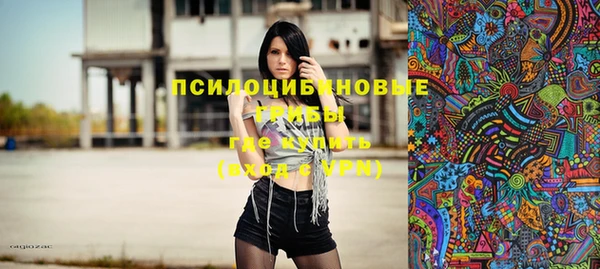 гашик Алзамай