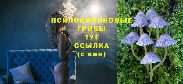 гашик Алзамай
