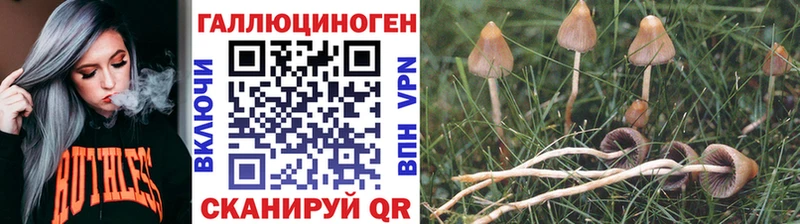 Псилоцибиновые грибы Psilocybe  где можно купить наркотик  Осинники 
